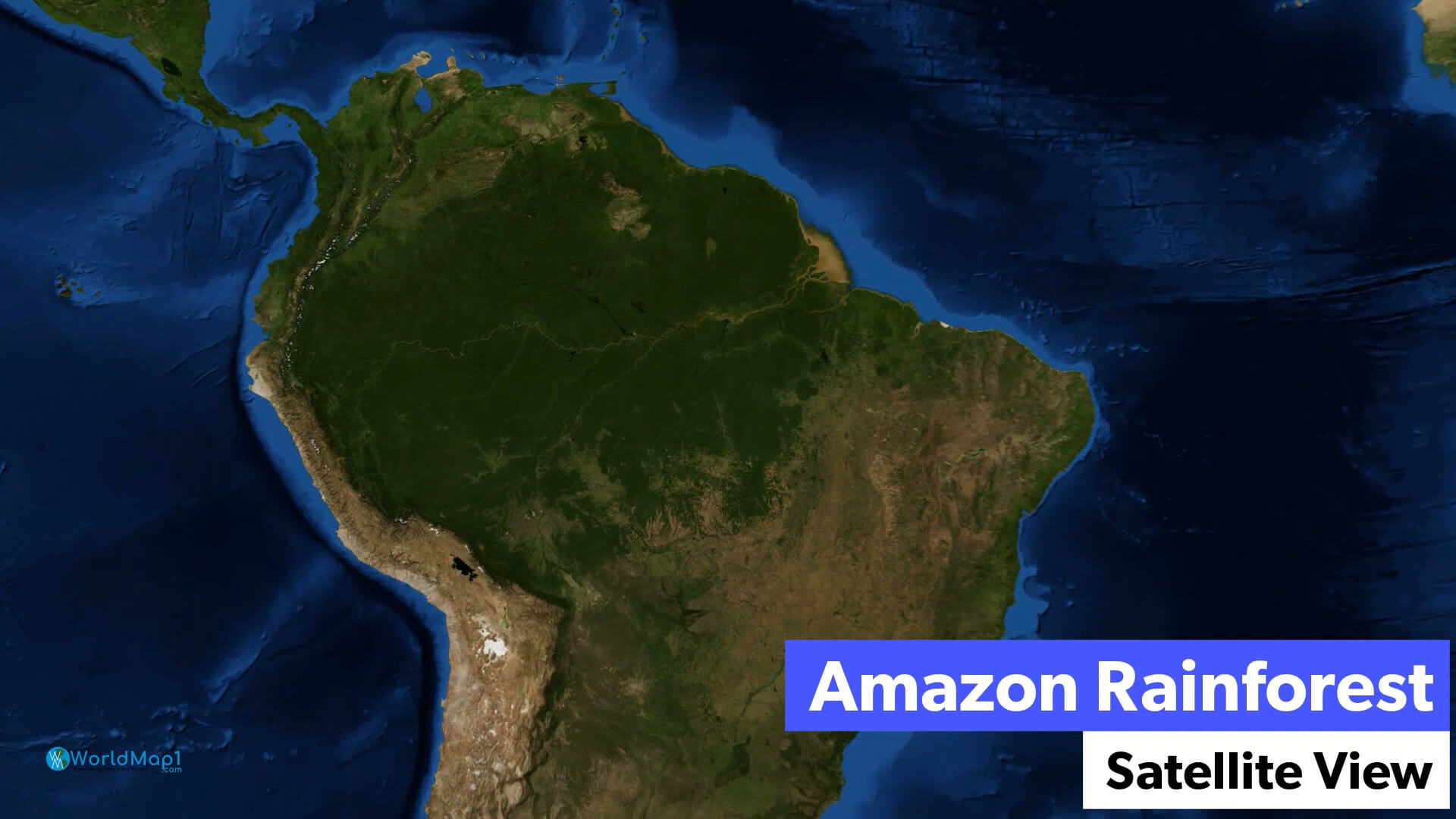 Amazon Rainforest Satellite Image